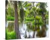 Cajun Country I-null-Stretched Canvas