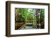 Cajun Country II-null-Framed Art Print