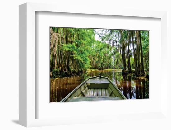 Cajun Country II-null-Framed Art Print