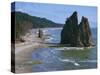 Cake Rock on Rialto Beach, Olympic National Park, UNESCO World Heritage Site, Washington State, USA-Waltham Tony-Stretched Canvas