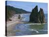 Cake Rock on Rialto Beach, Olympic National Park, UNESCO World Heritage Site, Washington State, USA-Waltham Tony-Stretched Canvas