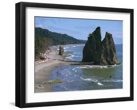 Cake Rock on Rialto Beach, Olympic National Park, UNESCO World Heritage Site, Washington State, USA-Waltham Tony-Framed Photographic Print