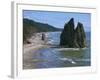 Cake Rock on Rialto Beach, Olympic National Park, UNESCO World Heritage Site, Washington State, USA-Waltham Tony-Framed Photographic Print
