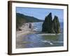 Cake Rock on Rialto Beach, Olympic National Park, UNESCO World Heritage Site, Washington State, USA-Waltham Tony-Framed Photographic Print