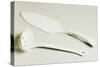 Cake Server and Ladle, Ceramic, La Porcellana Bianca, Italy-null-Stretched Canvas