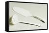 Cake Server and Ladle, Ceramic, La Porcellana Bianca, Italy-null-Framed Stretched Canvas