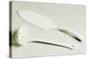 Cake Server and Ladle, Ceramic, La Porcellana Bianca, Italy-null-Stretched Canvas