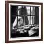 Cake Shop, Padstow, Cornwall, 1946-59-John Gay-Framed Photographic Print