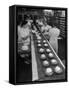 Cakes Being Frosted in A&P Plant-Herbert Gehr-Framed Stretched Canvas