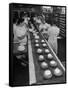 Cakes Being Frosted in A&P Plant-Herbert Gehr-Framed Stretched Canvas