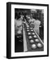 Cakes Being Frosted in A&P Plant-Herbert Gehr-Framed Photographic Print