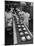 Cakes Being Frosted in A&P Plant-Herbert Gehr-Mounted Photographic Print