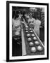 Cakes Being Frosted in A&P Plant-Herbert Gehr-Framed Photographic Print
