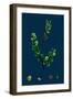 Cakile Maritima; Sea Rocket-null-Framed Giclee Print