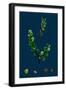 Cakile Maritima; Sea Rocket-null-Framed Giclee Print