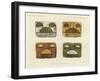 Cakwalenya Altar Slabs at Walpi-null-Framed Giclee Print