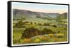 Cal Poly, San Luis Obispo, California-null-Framed Stretched Canvas