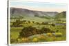 Cal Poly, San Luis Obispo, California-null-Stretched Canvas