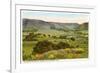 Cal Poly, San Luis Obispo, California-null-Framed Art Print