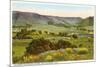 Cal Poly, San Luis Obispo, California-null-Mounted Art Print