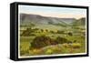 Cal Poly, San Luis Obispo, California-null-Framed Stretched Canvas