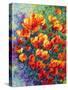 Cal Poppies-Marion Rose-Stretched Canvas