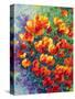 Cal Poppies-Marion Rose-Stretched Canvas