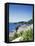 Cala Fornella, Majorca, Balearic Islands, Spain, Mediterranean-L Bond-Framed Stretched Canvas