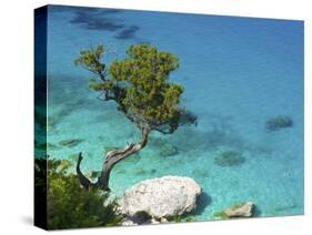 Cala Goloritze, Golfo Di Orosei, Parco Nazionale Del Gennargentu E Golfo Di Goloritze, Sardinia, It-Katja Kreder-Stretched Canvas
