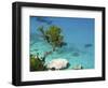 Cala Goloritze, Golfo Di Orosei, Parco Nazionale Del Gennargentu E Golfo Di Goloritze, Sardinia, It-Katja Kreder-Framed Photographic Print