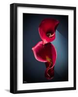 Cala Lilies 2-Mark Ashkenazi-Framed Giclee Print
