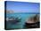 Cala Rossa, Trapani, Favignana Island, Sicily, Italy, Mediterranean, Europe-Vincenzo Lombardo-Stretched Canvas