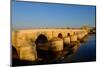 Calahorra Tower and the Roman Bridge (Puente Romano) over the Rio Guadalquivir-Carlo Morucchio-Mounted Photographic Print