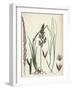 Calamagrostis Stricta Narrow Small-Reed Var. A-null-Framed Giclee Print
