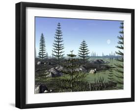 Calamites and Drepanophycus Populate Lowlands Near the Brackish Waters of an Inland Sea-Stocktrek Images-Framed Photographic Print