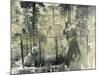 Calamity Jane At Wild Bill Hickok's Grave, 1903-Science Source-Mounted Giclee Print