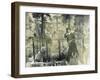 Calamity Jane At Wild Bill Hickok's Grave, 1903-Science Source-Framed Giclee Print