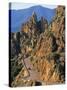 Calanche, Corsica, France-Doug Pearson-Stretched Canvas