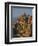 Calanche, White Granite Rocks, with Car on Road Below, Near Piana, Corsica, France, Europe-Tomlinson Ruth-Framed Photographic Print