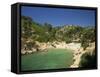 Calanque De Port-Pin, Cassis, Bouches-Du-Rhone, Cote D'Azur, Provence, France, Mediterranean-Tomlinson Ruth-Framed Stretched Canvas