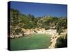 Calanque De Port-Pin, Cassis, Bouches-Du-Rhone, Cote D'Azur, Provence, France, Mediterranean-Tomlinson Ruth-Stretched Canvas