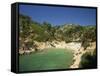 Calanque De Port-Pin, Cassis, Bouches-Du-Rhone, Cote D'Azur, Provence, France, Mediterranean-Tomlinson Ruth-Framed Stretched Canvas