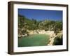 Calanque De Port-Pin, Cassis, Bouches-Du-Rhone, Cote D'Azur, Provence, France, Mediterranean-Tomlinson Ruth-Framed Photographic Print