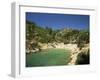 Calanque De Port-Pin, Cassis, Bouches-Du-Rhone, Cote D'Azur, Provence, France, Mediterranean-Tomlinson Ruth-Framed Photographic Print