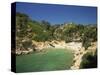 Calanque De Port-Pin, Cassis, Bouches-Du-Rhone, Cote D'Azur, Provence, France, Mediterranean-Tomlinson Ruth-Stretched Canvas