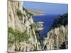 Calanques De Cassis, Bouches Du Rhone, Provence, France, Europe-Bruno Morandi-Mounted Photographic Print