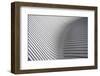 Calatrava Curves # 2-Linda Wride-Framed Photographic Print