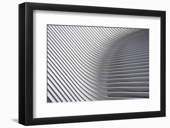 Calatrava Curves # 2-Linda Wride-Framed Photographic Print