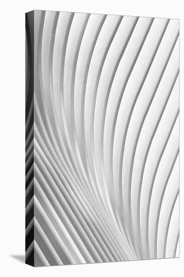 Calatrava Lines-Christopher Budny-Stretched Canvas