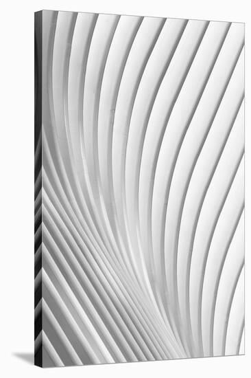 Calatrava Lines-Christopher Budny-Stretched Canvas